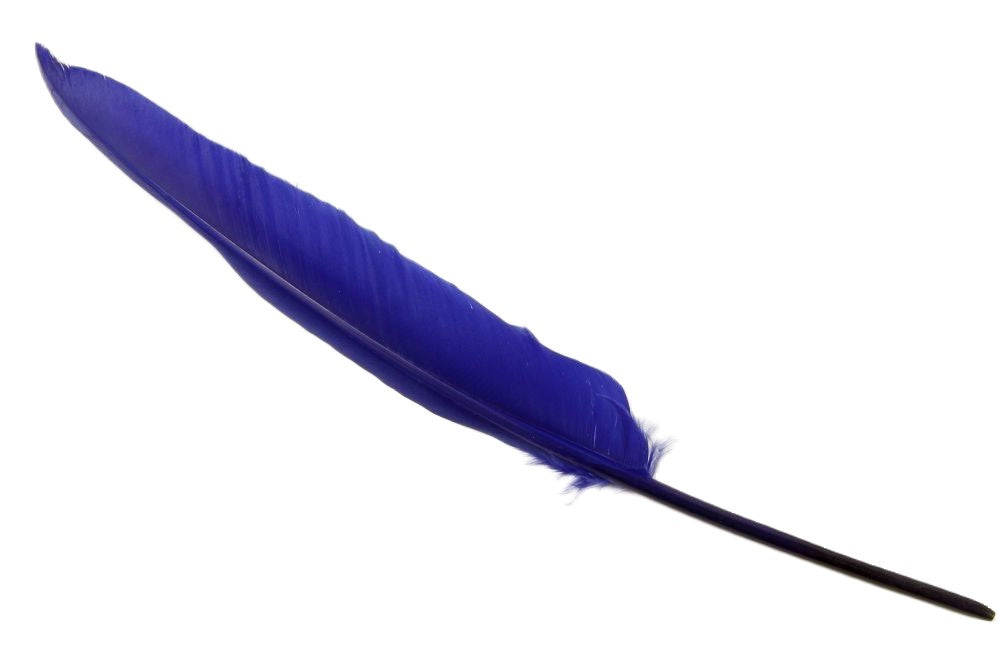 Authentic Goose Quill Pen