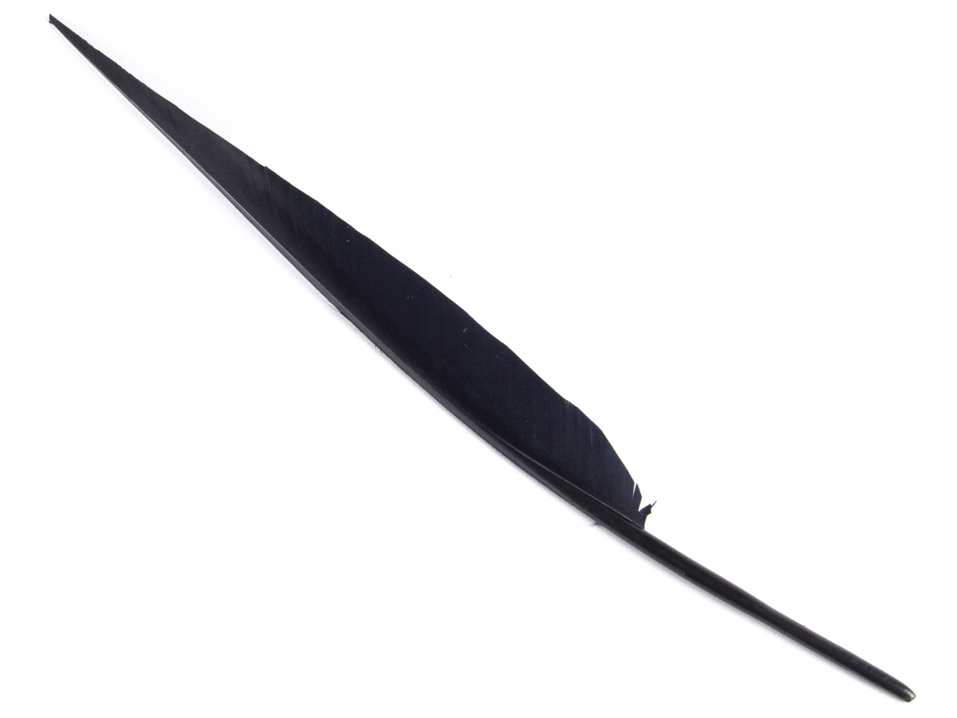 Goose Sail Feather (Pack of 5)