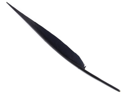 Goose Sail Feather (Pack of 5)