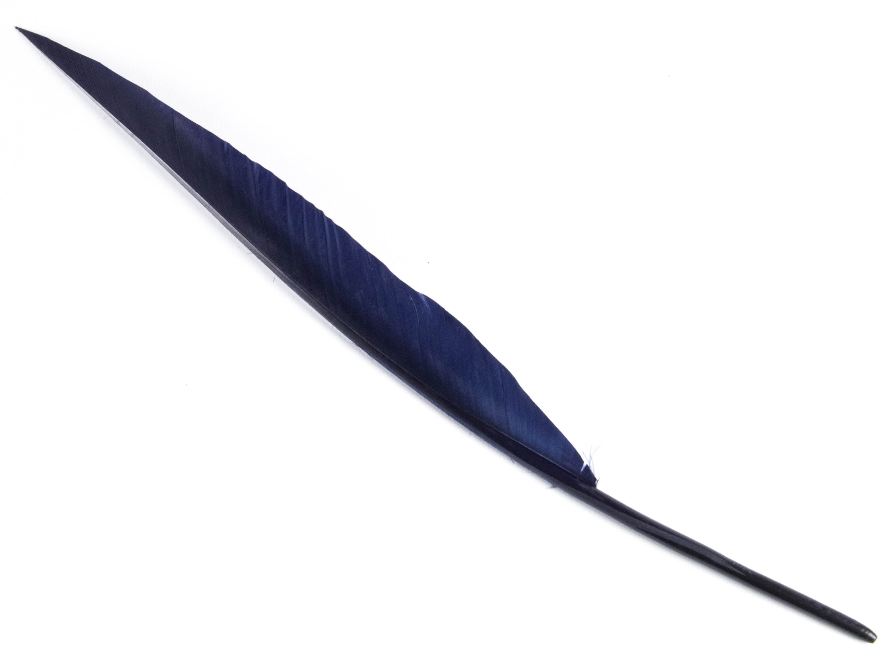Goose Sail Feather (Pack of 5)