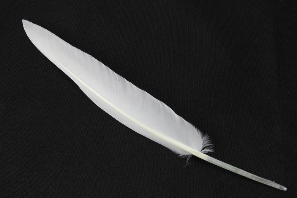 Goose Quill Feather Pens
