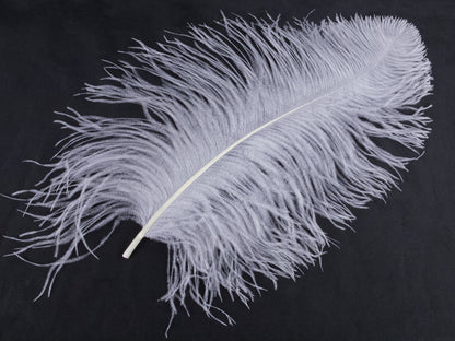 Ostrich Prime Wing Feather (50-65cm)