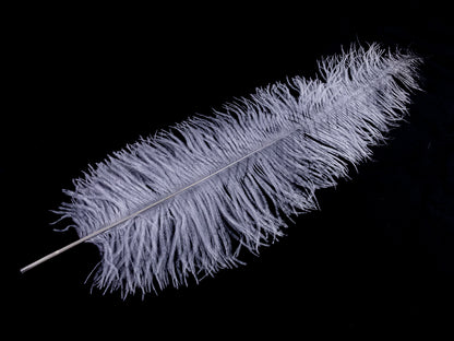 Ostrich Spadone Feather (50-65cm)