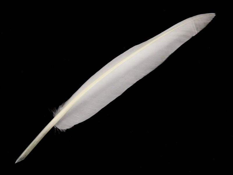 Goose Quill Feather Pens - Hand cut (Pack of 10)