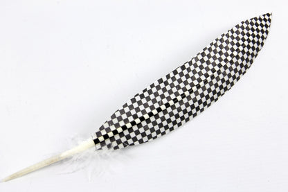 Print Pattern Trimmed Turkey Quill (Pack of 3)