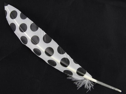 Print Pattern Trimmed Turkey Quill (Pack of 3)