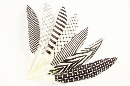 Print Pattern Trimmed Turkey Quill (Pack of 3)