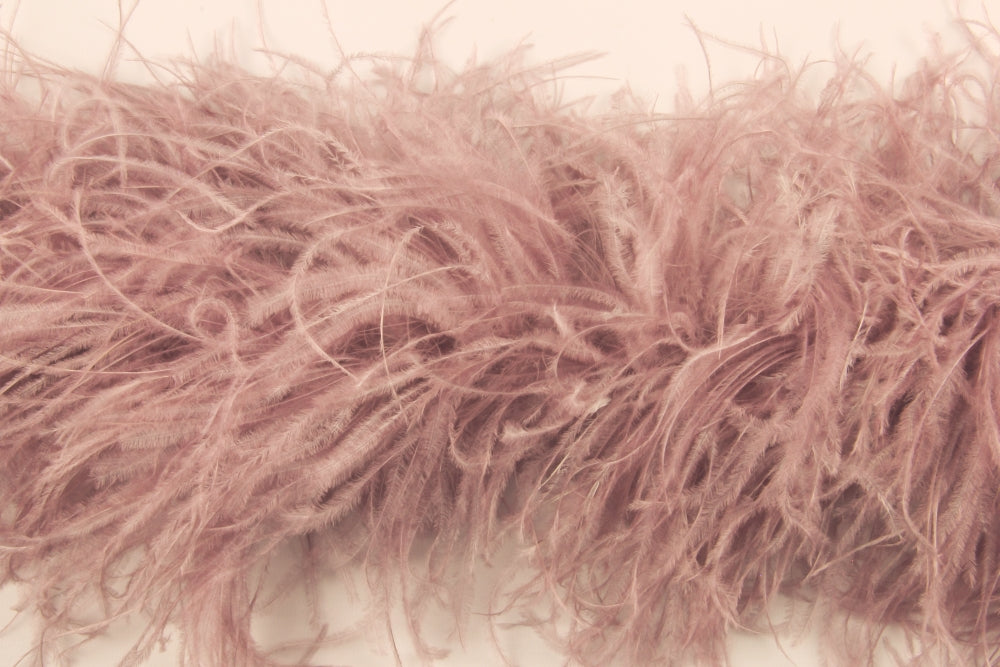 Ostrich Feather Boa with Stripped Coque - Fashion Colours
