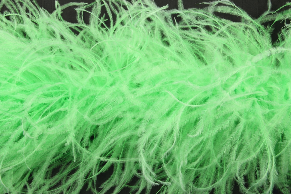 Ostrich Feather Boa with Stripped Coque - Fashion Colours