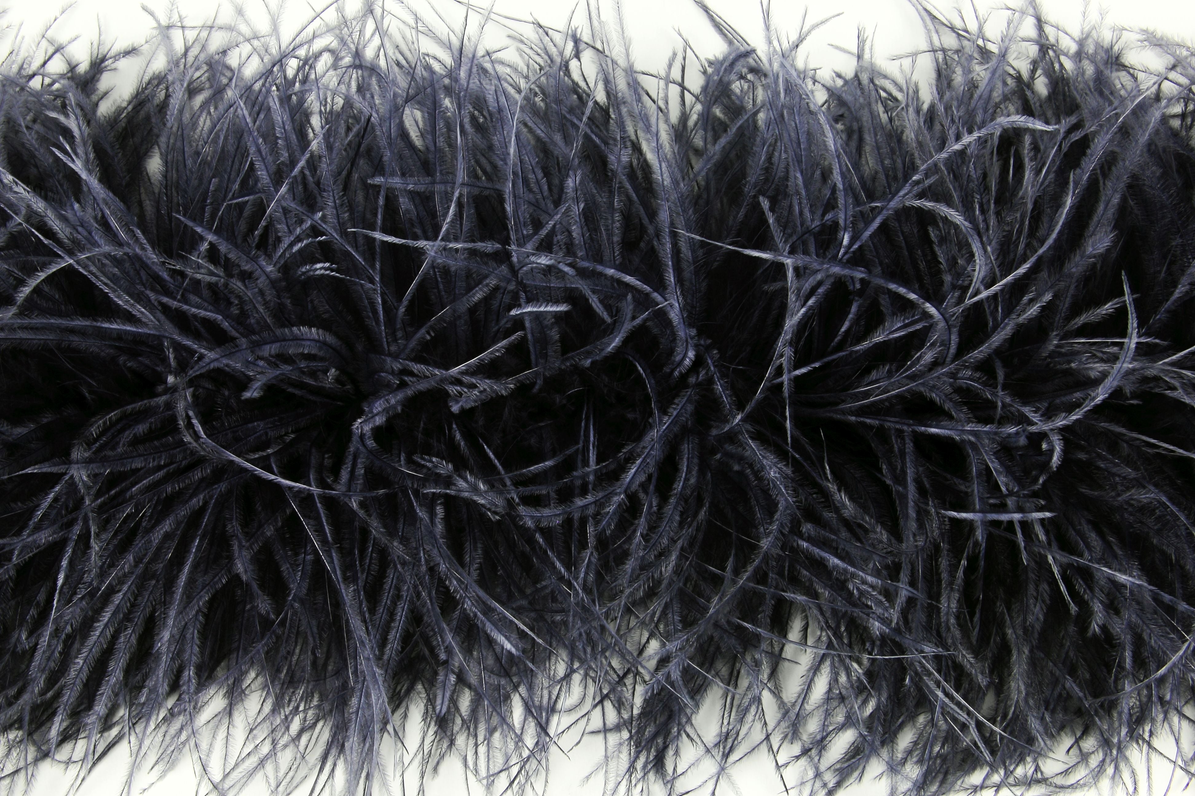 Ostrich Feather Boa with Stripped Coque - Fashion Colours