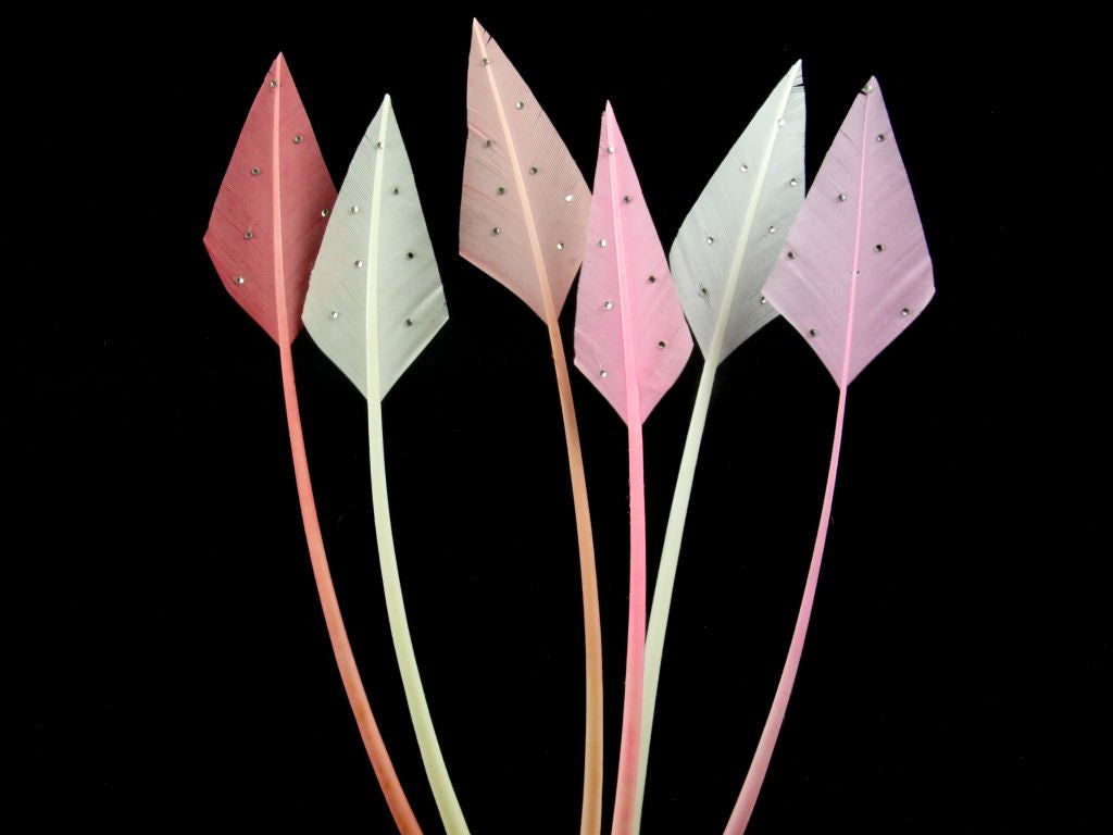 Jewelled Turkey Arrowhead - Pack of 3