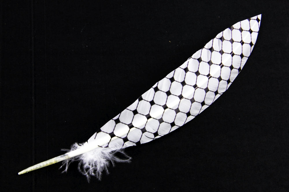 Print Pattern Trimmed Turkey Quill (Pack of 3)