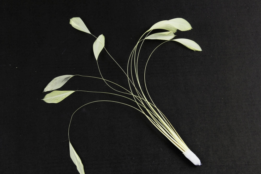 Bulk Stripped Coque (Pack of 100)