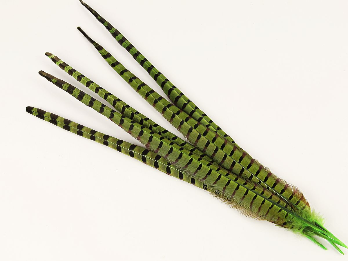 Pheasant Feather Pens (Pack of 10)