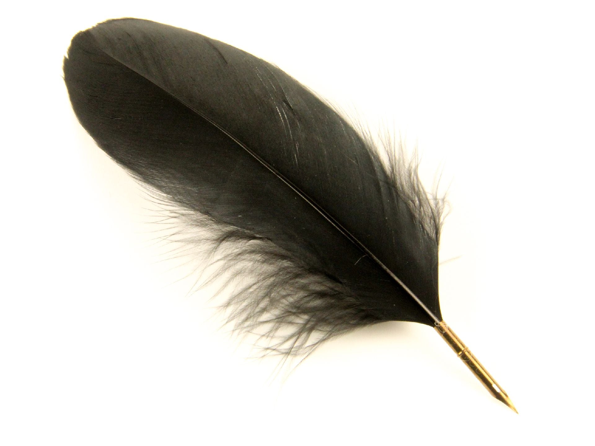 Goose Nagoire Quill Pen (Pack of 10)