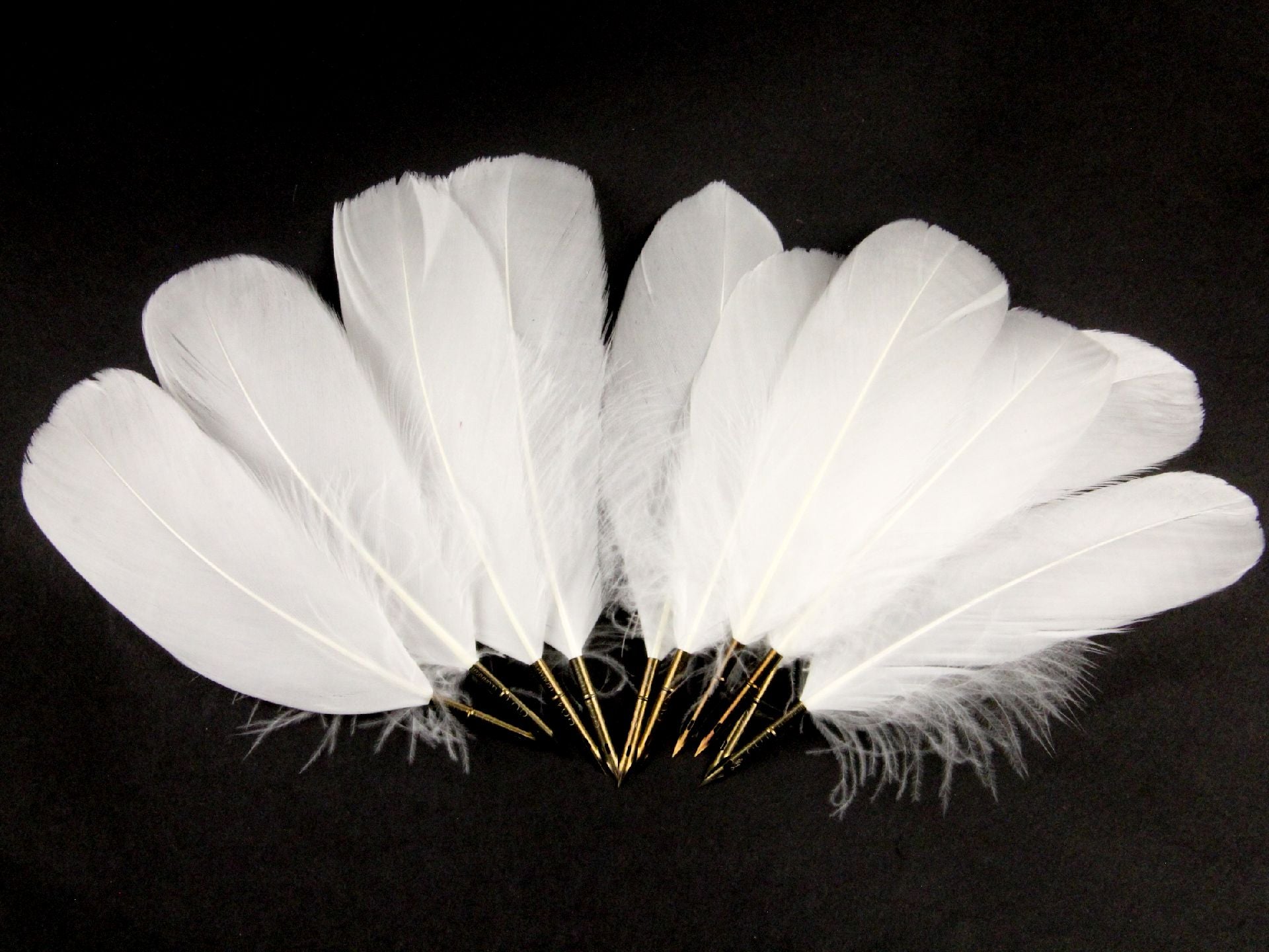 Goose Nagoire Quill Pen (Pack of 10)