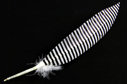 Print Pattern Trimmed Turkey Quill (Pack of 3)