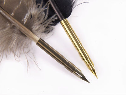 Turkey Quill Feather Pens