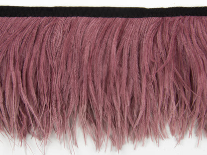 2 Ply Ostrich Feather Fringe 10 cm depth - Fashion Colours