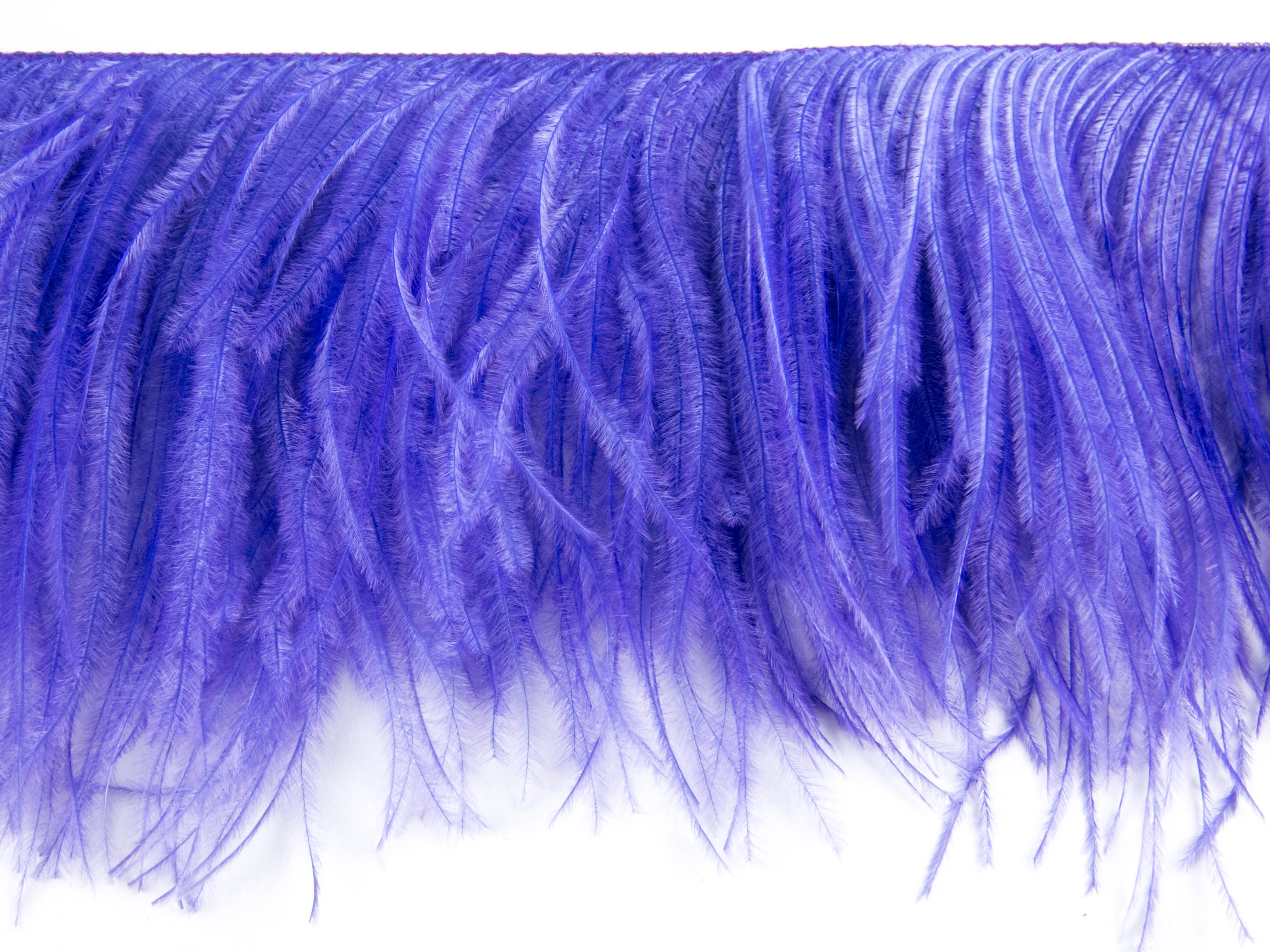 2 Ply Ostrich Feather Fringe (10cm depth) - Dancewear Colours
