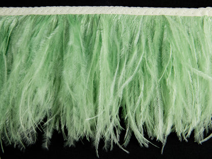 2 Ply Ostrich Feather Fringe 10 cm depth - Fashion Colours