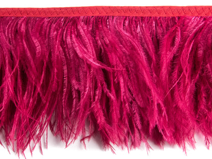 2 Ply Ostrich Feather Fringe 10 cm depth - Fashion Colours