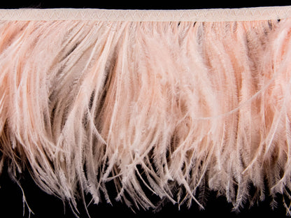 2 Ply Ostrich Feather Fringe 10 cm depth - Fashion Colours