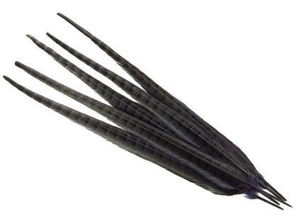 Ringneck Pheasant Centre Feather Dyed (Pack of 5)