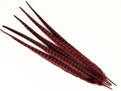Ringneck Pheasant Centre Feather Dyed (Pack of 5)