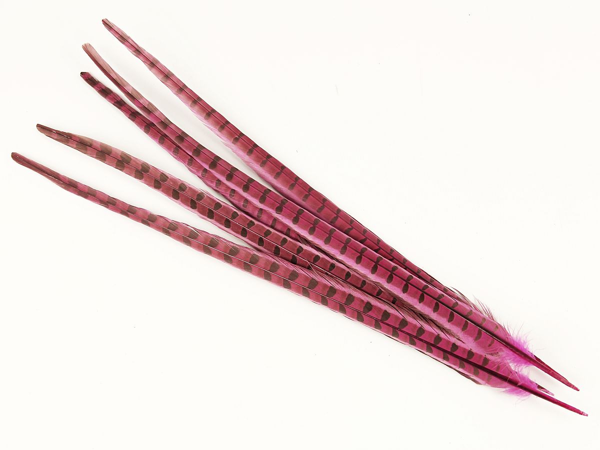 Pheasant Feather Pens (Pack of 10)