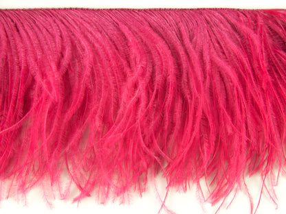2 Ply Ostrich Feather Fringe (10cm depth) - Dancewear Colours
