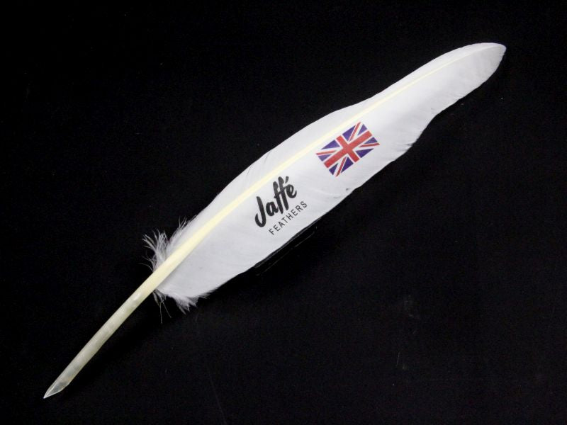 Colour Printed Promotional Goose Pens - Hand cut nib (Pack of 25)