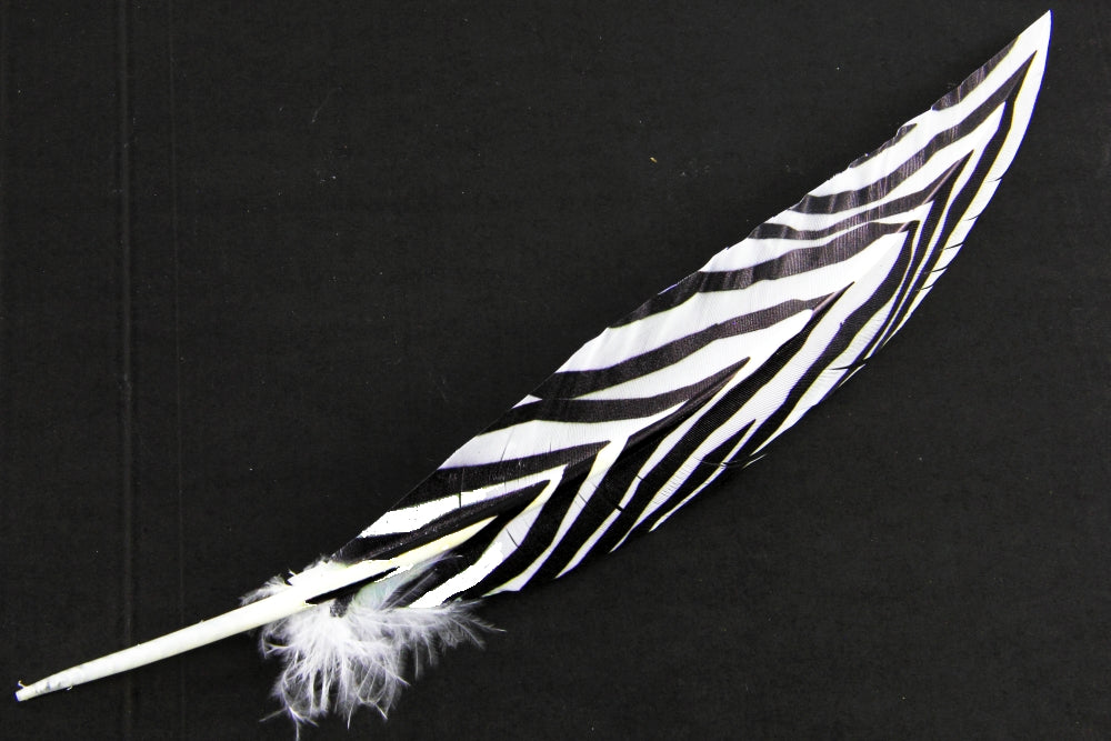 Print Pattern Trimmed Turkey Quill (Pack of 3)