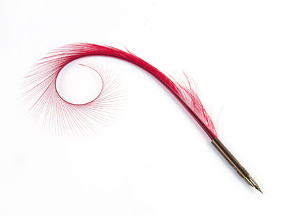 Curled and Burnt Pheasant Feather Pens
