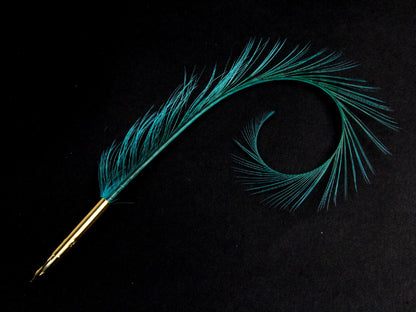 Curled and Burnt Pheasant Feather Pens