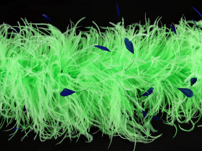 Ostrich Feather Boa with Stripped Coque - Dancewear Colours