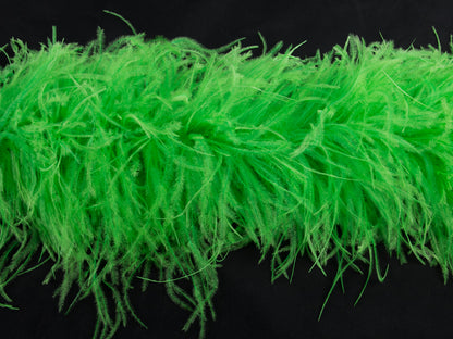 Ostrich Feather Boa with Stripped Coque - Dancewear Colours