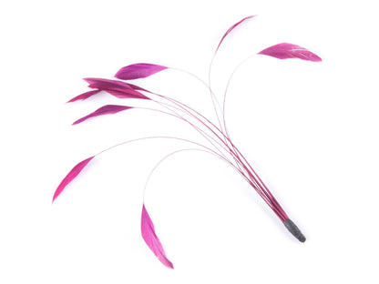 Bulk Stripped Coque (Pack of 100)