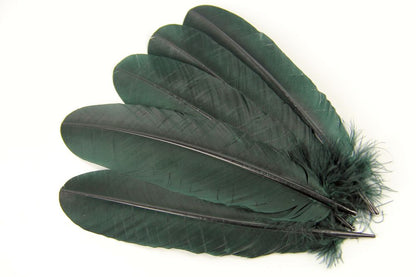 Turkey Quill Feather Pens - Deluxe finishes (Pack of 10)
