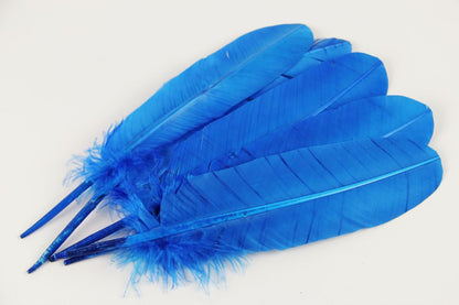 Turkey Quill Feather Pens - Deluxe finishes (Pack of 10)