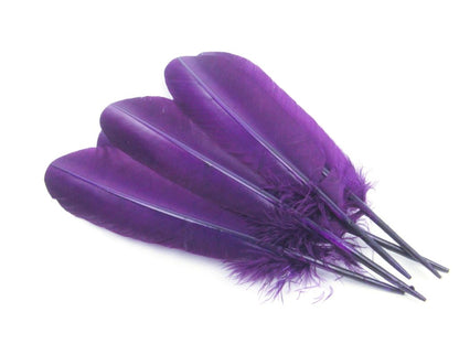 Turkey Quill Feather Pens - Deluxe finishes (Pack of 10)