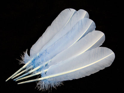 Turkey Quill Feather Pens - Deluxe finishes (Pack of 10)