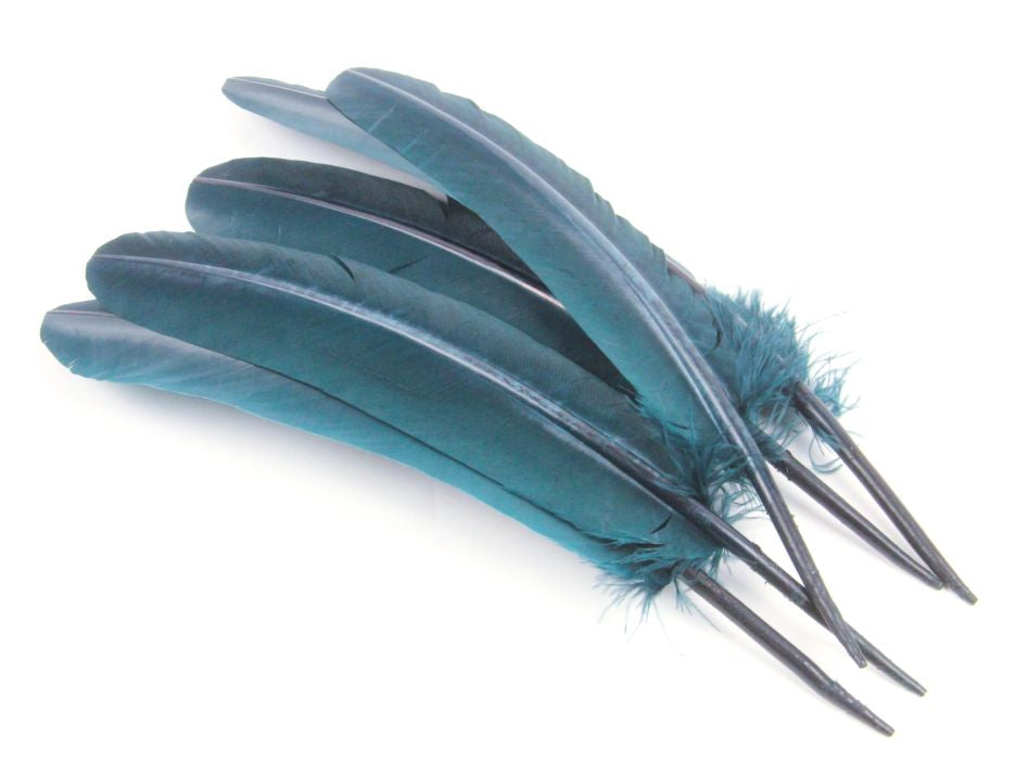 Authentic Turkey Quill Pen