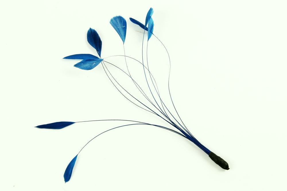 Bulk Stripped Coque (Pack of 100)