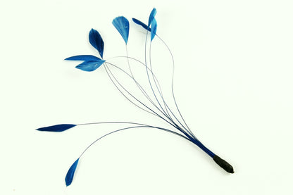Bulk Stripped Coque (Pack of 100)