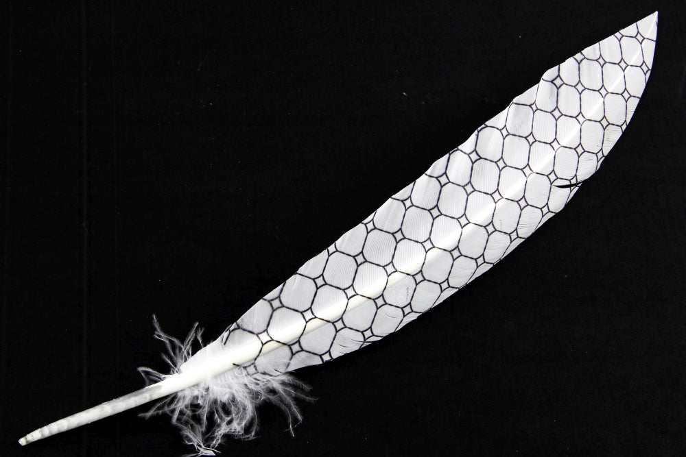 Print Pattern Trimmed Turkey Quill (Pack of 3)