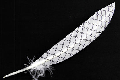 Print Pattern Trimmed Turkey Quill (Pack of 3)