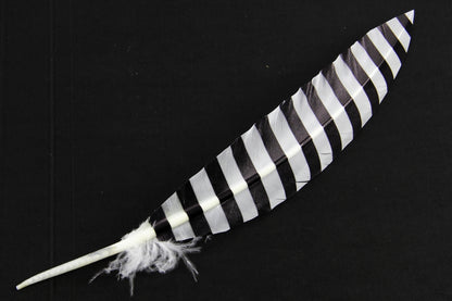 Print Pattern Trimmed Turkey Quill (Pack of 3)